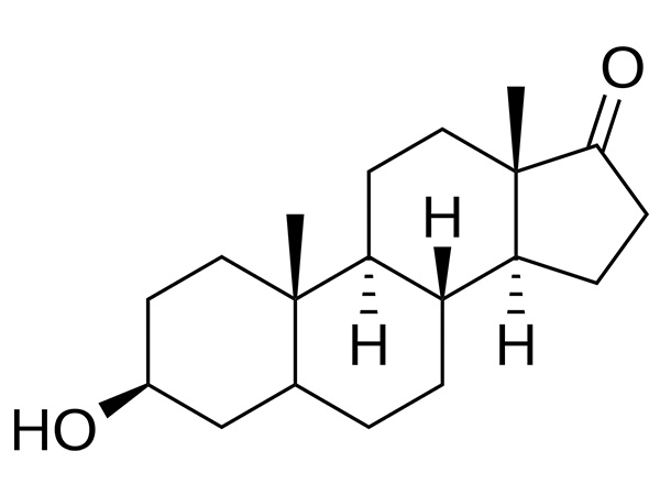Epiandrosterone ဆိုတာ ဘာလဲ၊ ဘာကြောင့် ခေတ်မီဟော်မုန်း သုတေသနမှာ လူကြိုက်များလာတာလဲ။